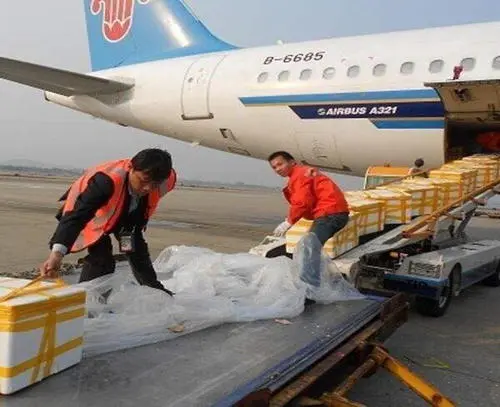 新闻:北京到赤峰航空物流专线